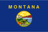 Montana Bandera