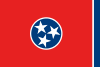 Tennessee Bandera